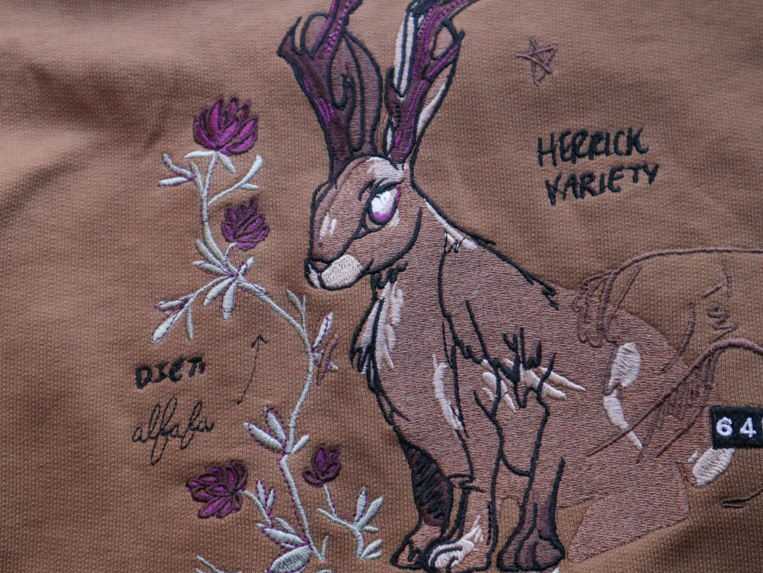 Jackalope Crewneckl // Cryptid Camp - Image 6