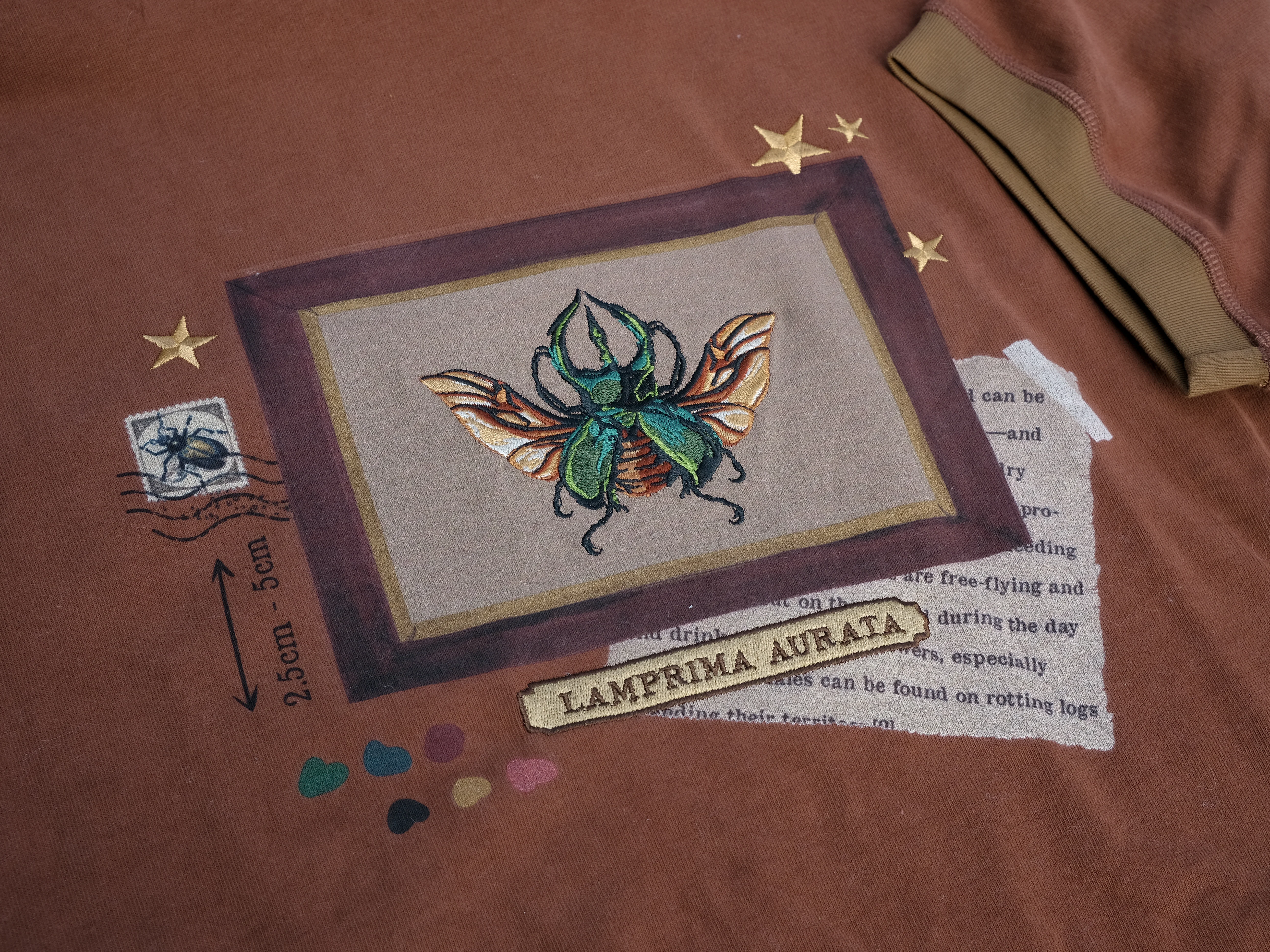 Stag-Horn Beetle // Framed Specimen Tee  (Heavy-weight) - Image 4