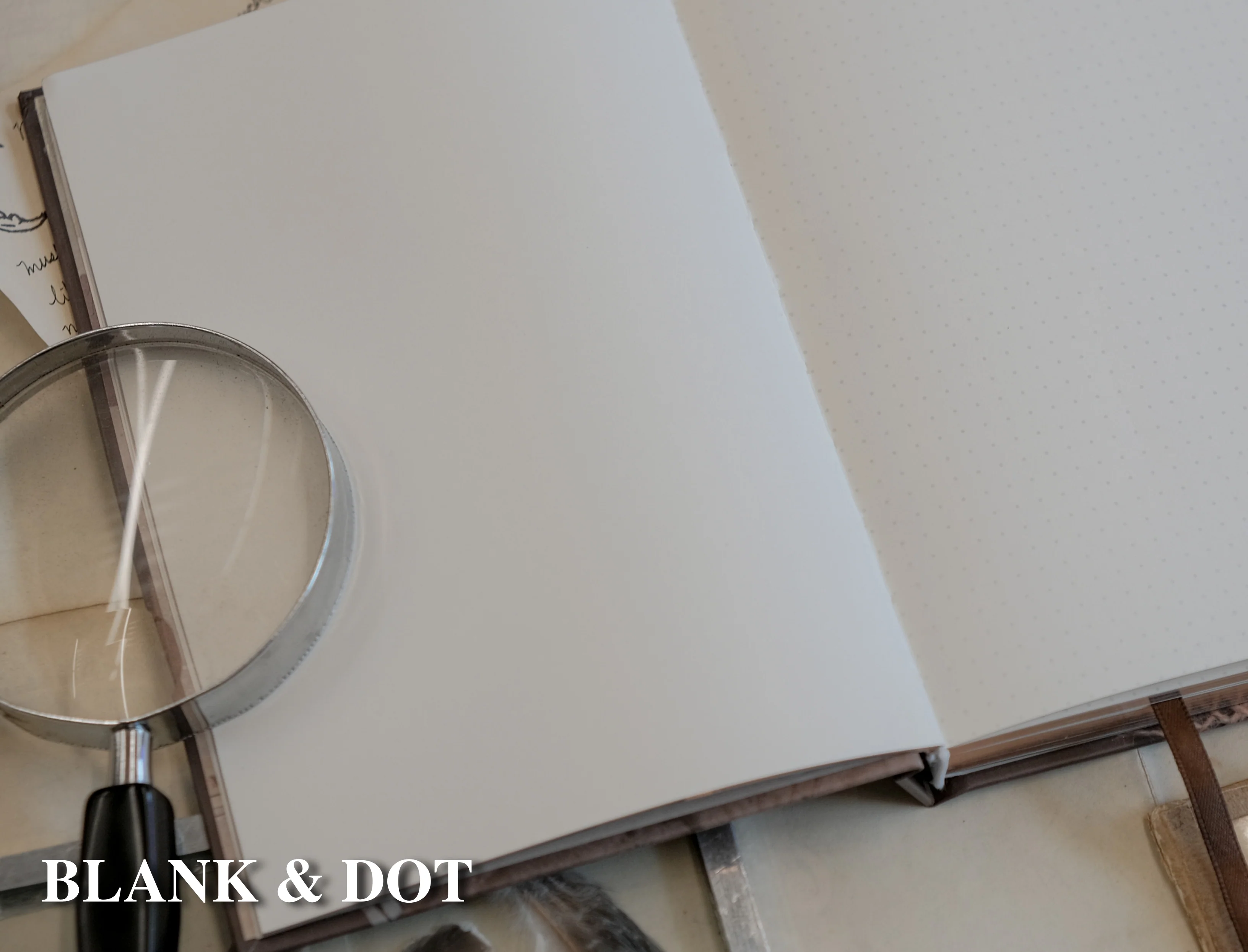 The Botanist's Journal // Field Notes - Image 9