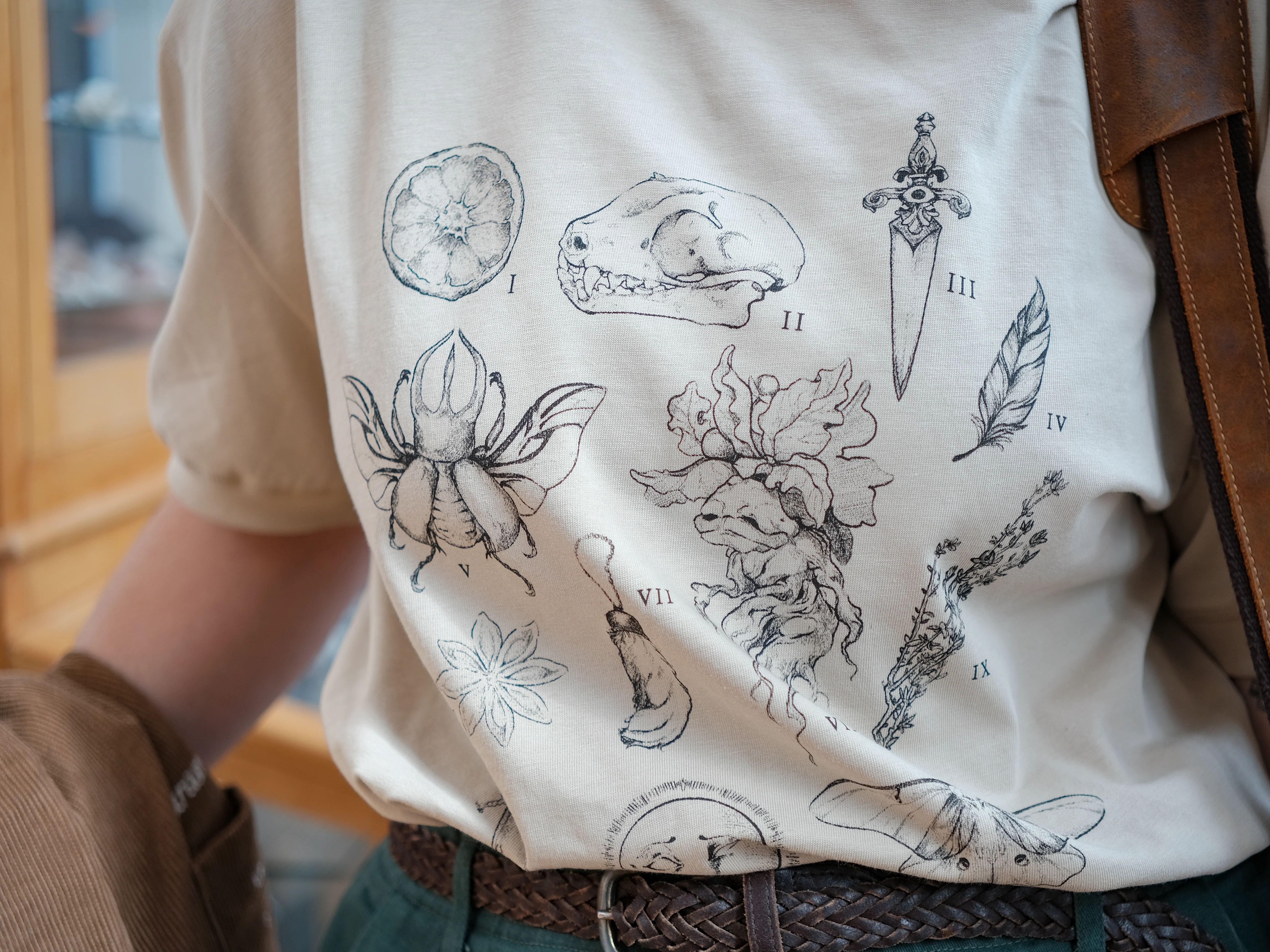 The Curio Cabinet Tee // Mid-Weight - Image 3