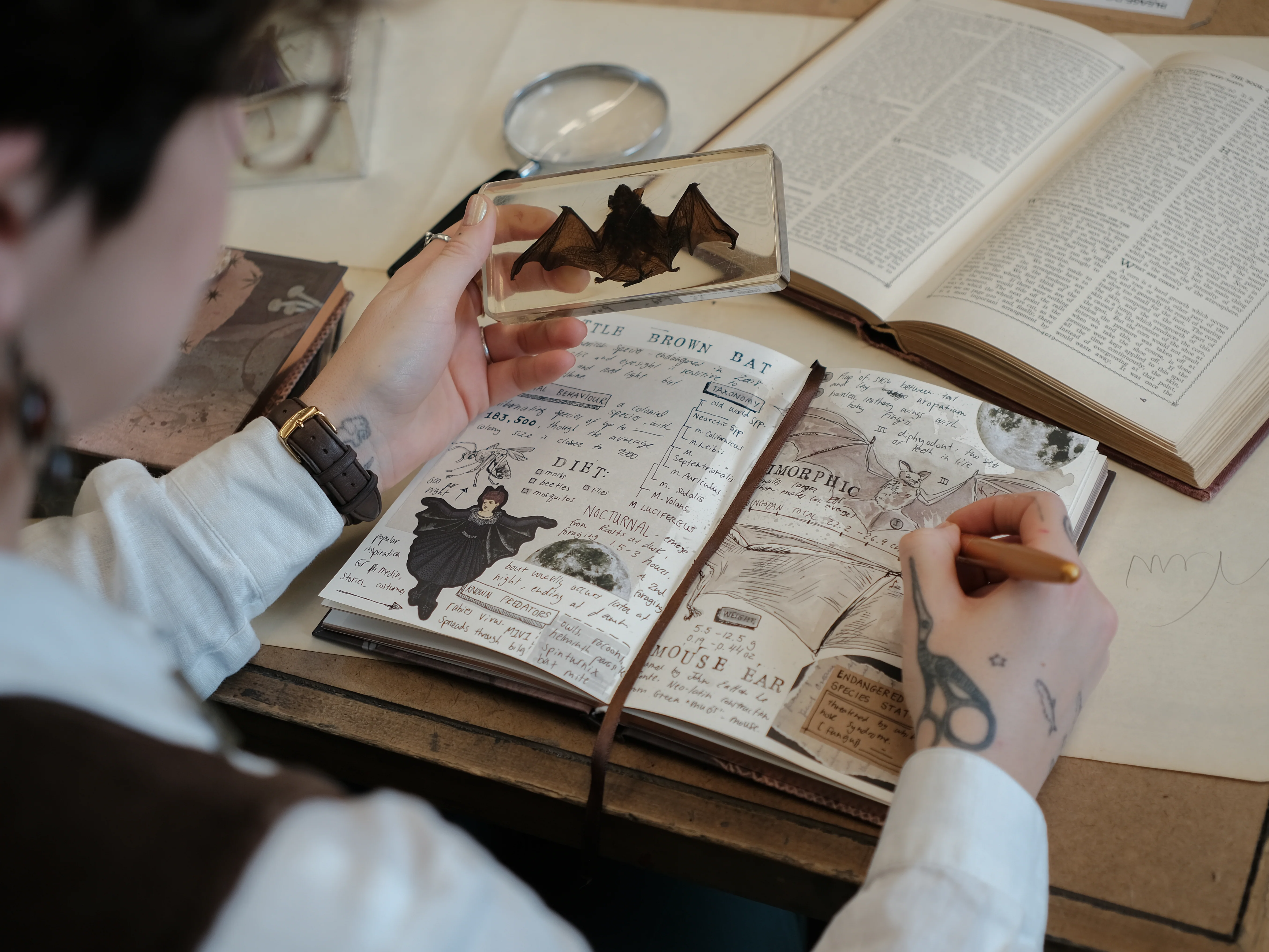 The Scholar's Journal // Ex Amino - Image 7