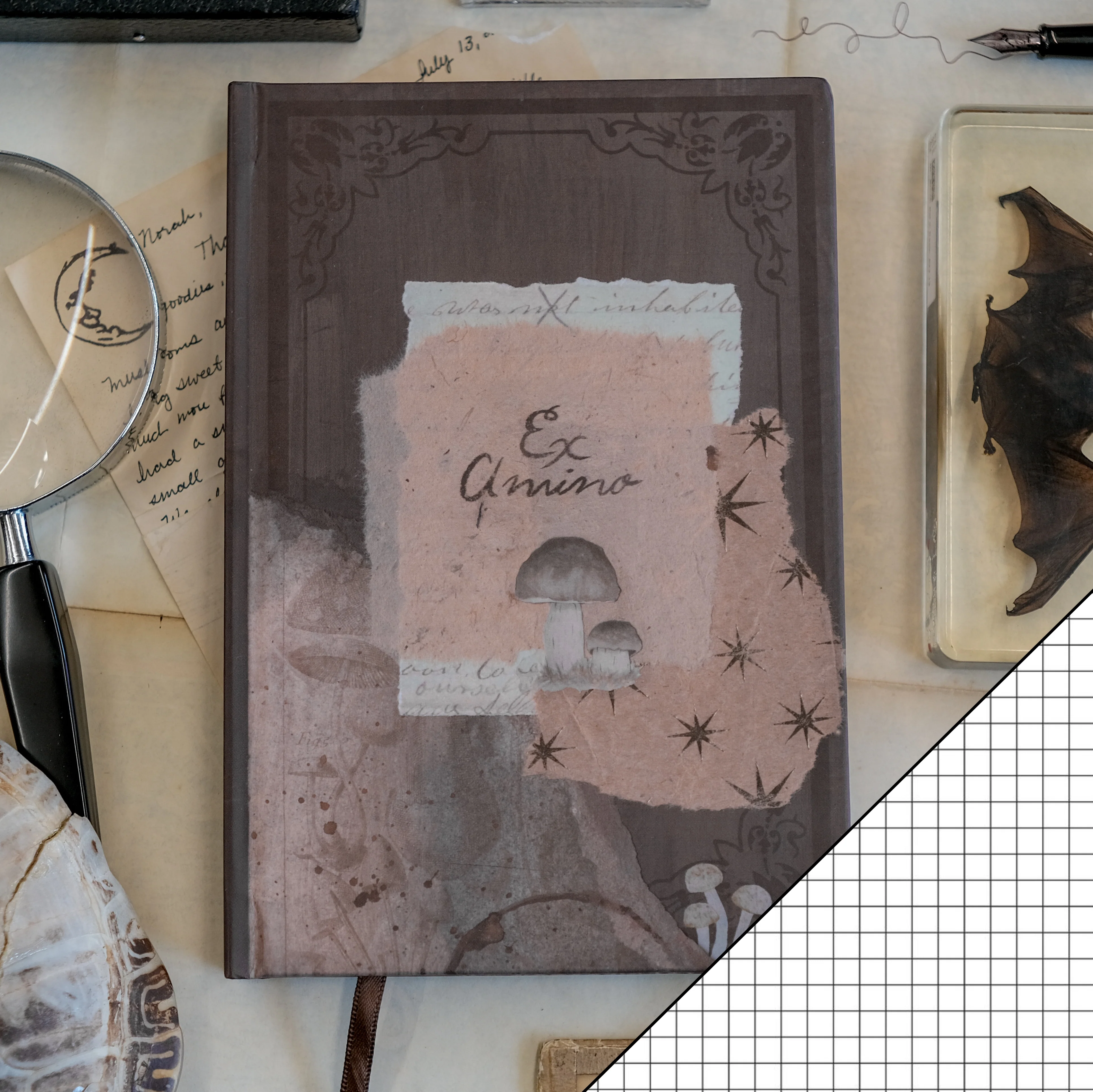The Scholar's Journal // Ex Amino - Image 9
